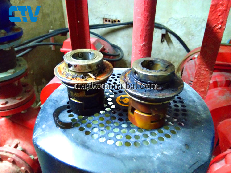 Các bước thay thế phớt máy bơm trục đứng